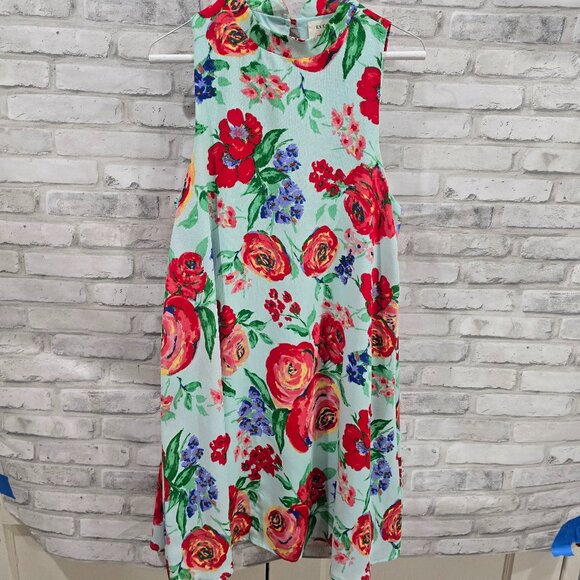 Everly Floral Sleeveless Shift Dress Women’s Size Medium Mint Green Red Tea Part - Picture 1 of 5